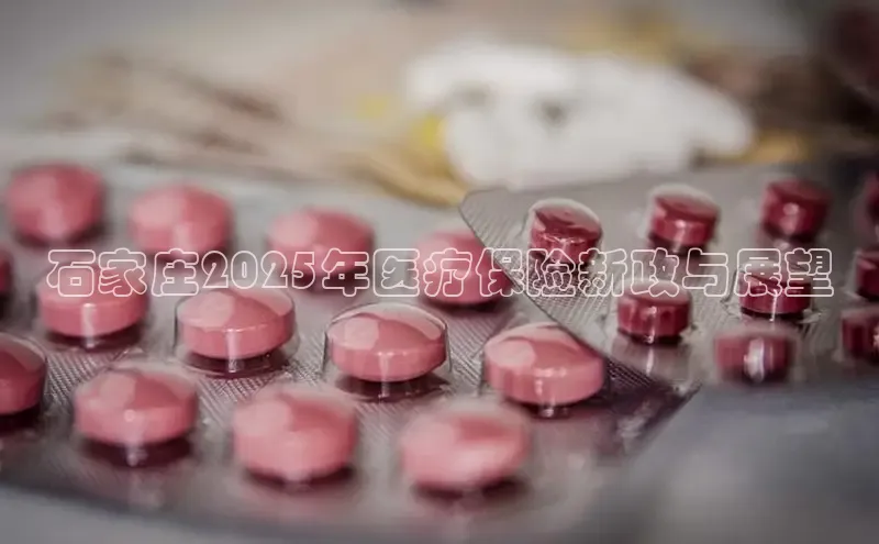 沐鸣娱乐2登录